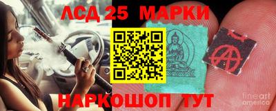 гидропоника Новозыбков