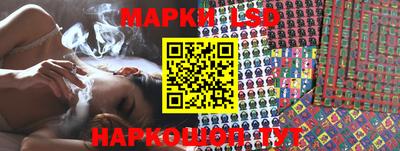 стафф Новодвинск