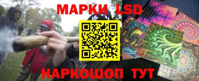 гидропоника Новозыбков