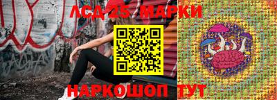 винт Новокубанск