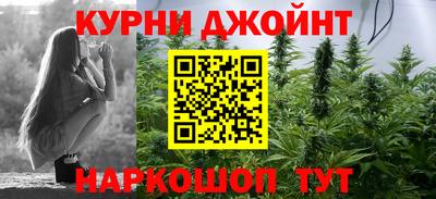 гидропоника Новозыбков