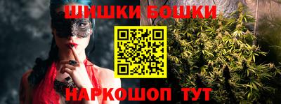 шишки Абакан
