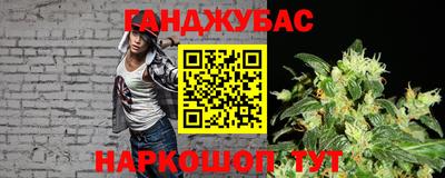 шишки Абакан