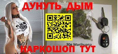 шишки Абакан