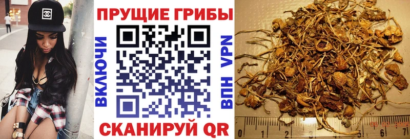 Псилоцибиновые грибы прущие грибы  Нижнекамск 