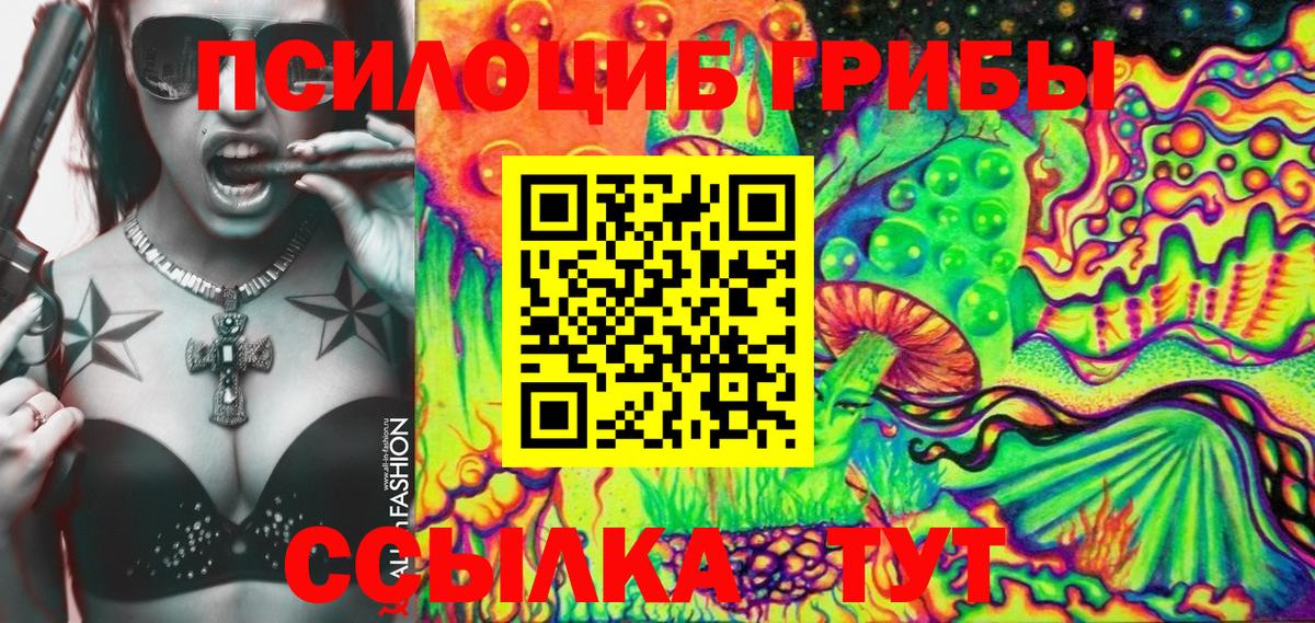 Нижнекамск  Галлюциногенные грибы GOLDEN TEACHER  Вход с VPN 
