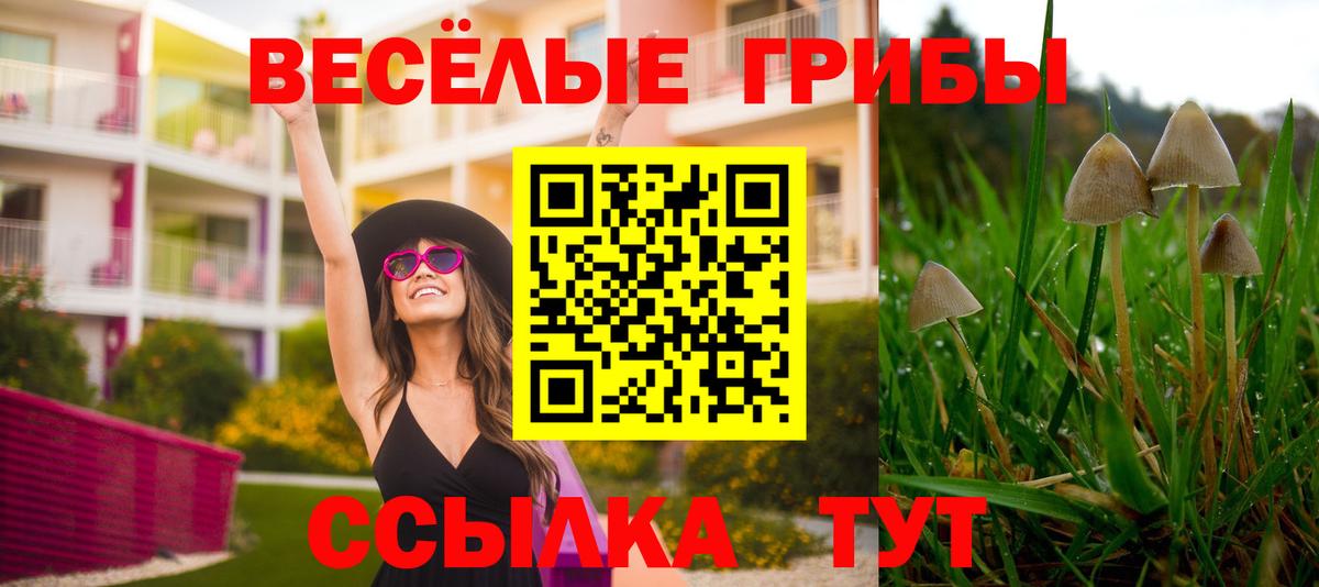 Галлюциногенные грибы Psilocybe Нижнекамск